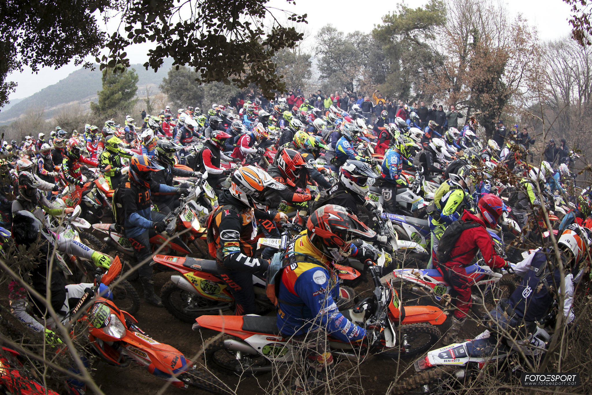BR1 2023,  ¡arribant as 600 participants!